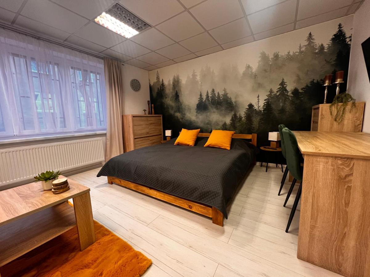 Apartmany V Centre - Vlastna Izba So Spolocnou Kuchynou A Kupelnou Moze Byt Zdielana 2 Inymi Izbami Martin Eksteriør bilde
