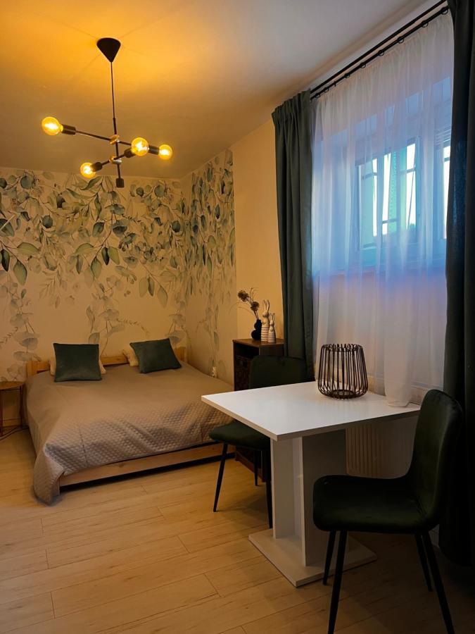 Apartmany V Centre - Vlastna Izba So Spolocnou Kuchynou A Kupelnou Moze Byt Zdielana 2 Inymi Izbami Martin Eksteriør bilde