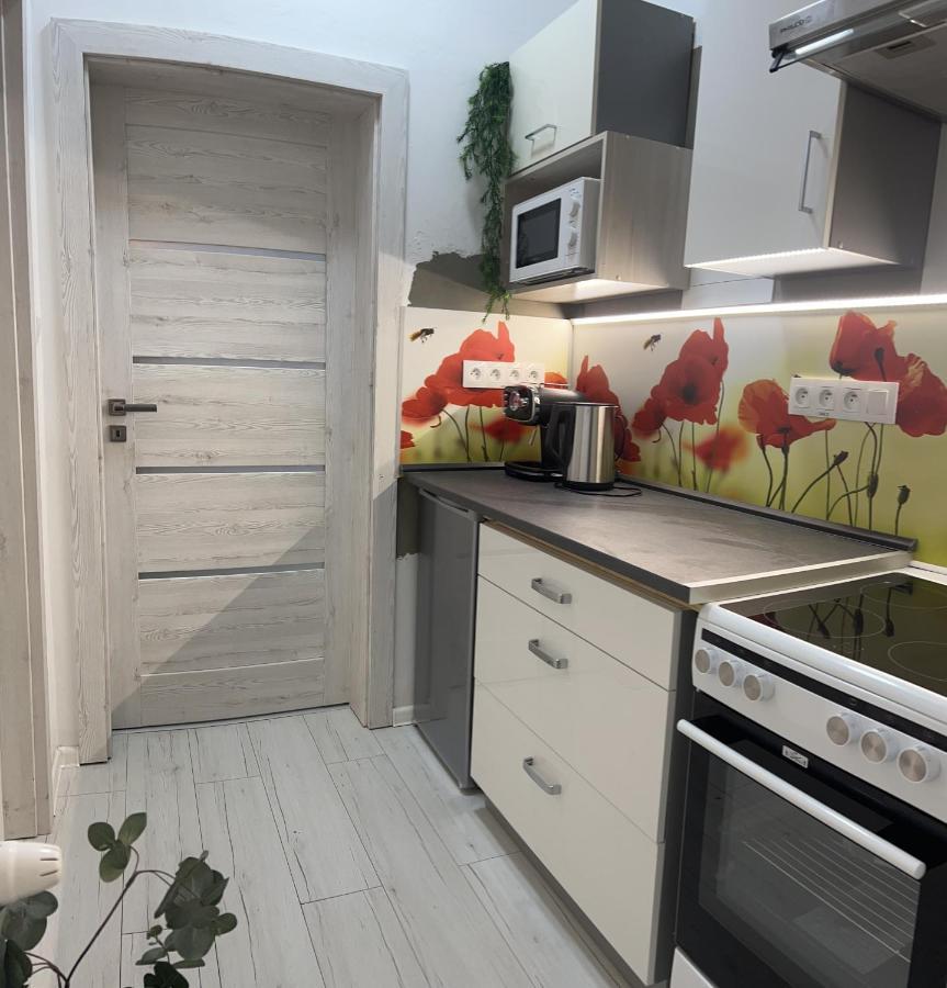Apartmany V Centre - Vlastna Izba So Spolocnou Kuchynou A Kupelnou Moze Byt Zdielana 2 Inymi Izbami Martin Eksteriør bilde
