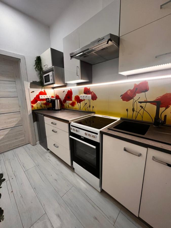 Apartmany V Centre - Vlastna Izba So Spolocnou Kuchynou A Kupelnou Moze Byt Zdielana 2 Inymi Izbami Martin Eksteriør bilde